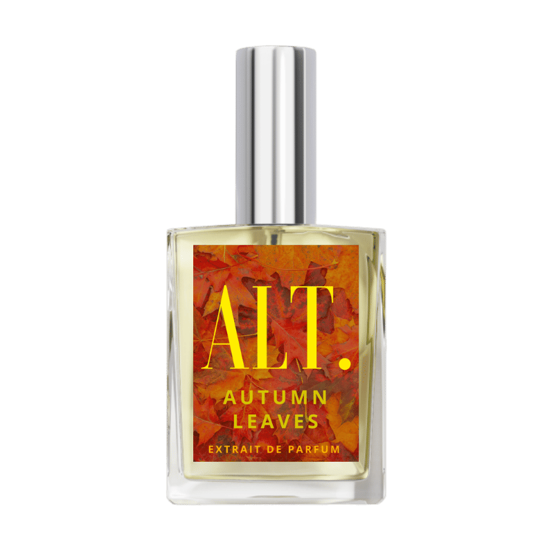 Inspired by Autumn Vibes Autumn Leaves
