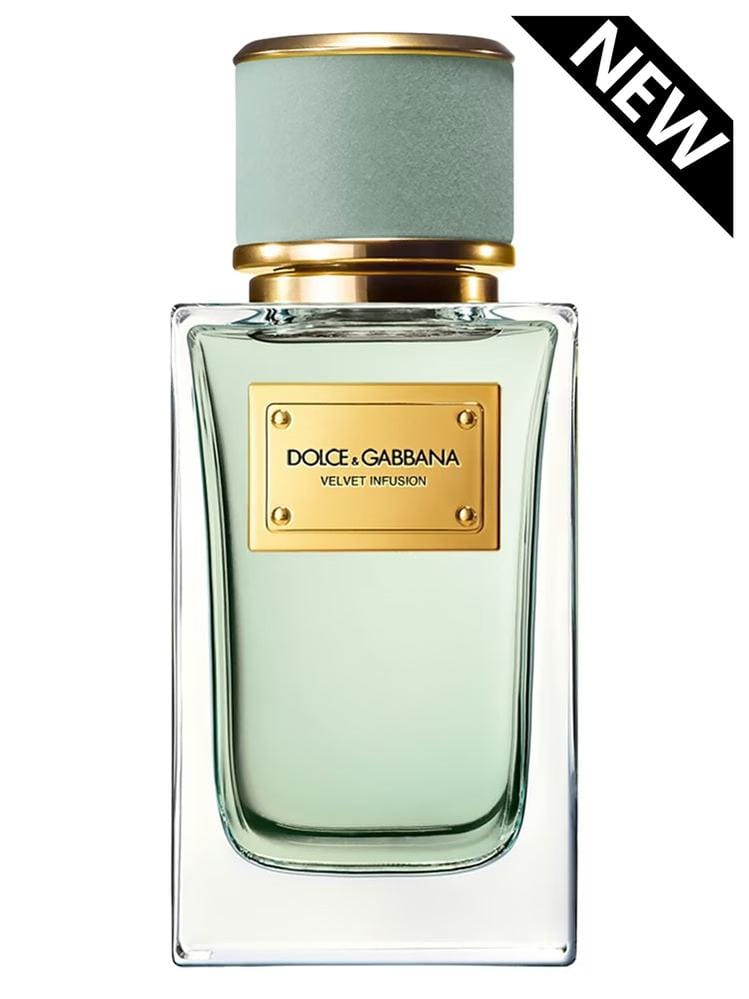 By Dolce & Gabbana Velvet Infusion