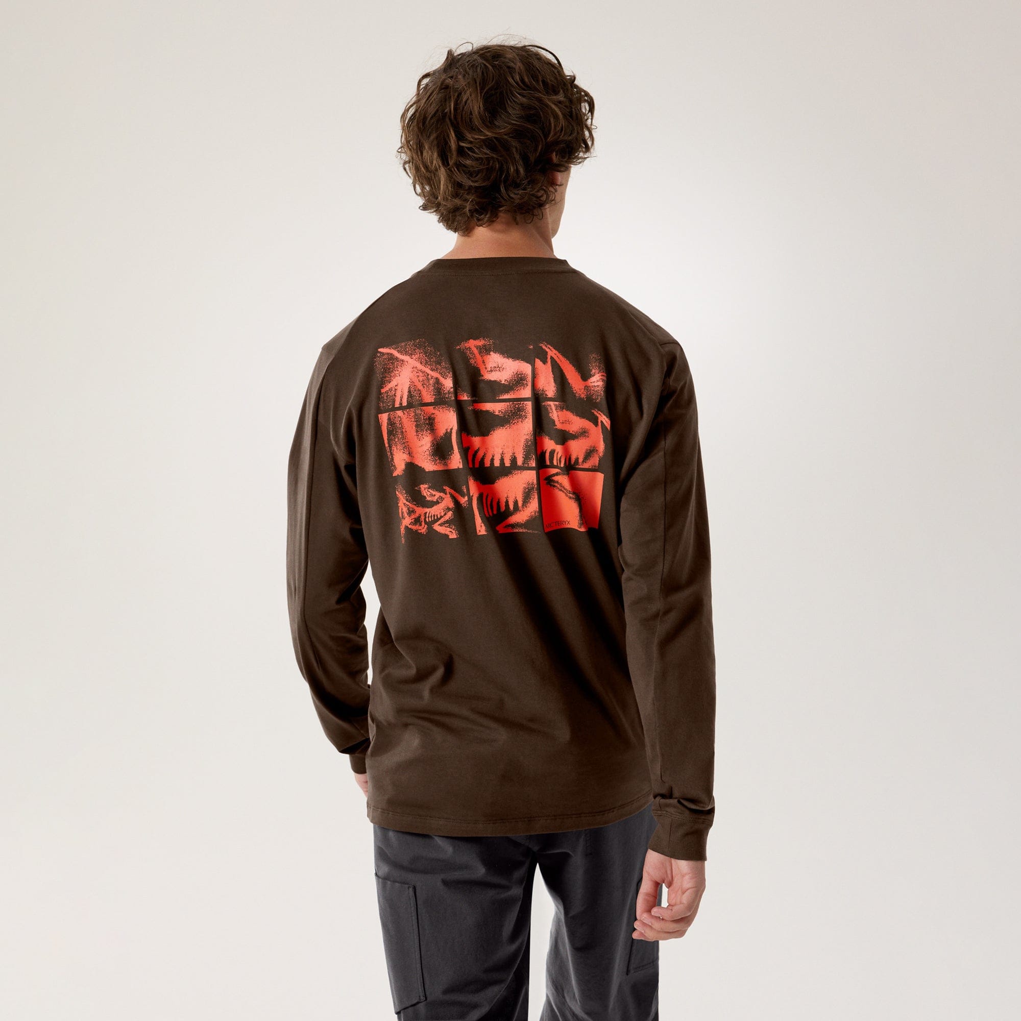 Arc'teryx Mens Kragg SL Cotton Bird Tile L/S Shirt