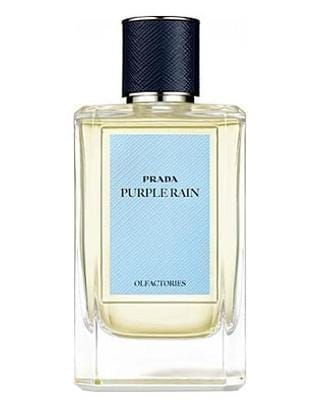 By Prada Purple Rain