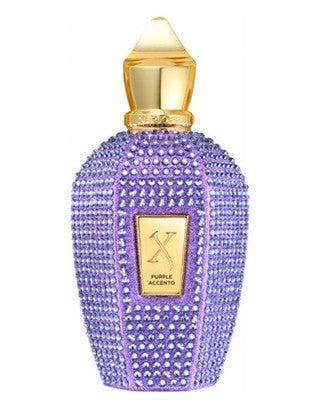 By Xerjoff Purple Accento