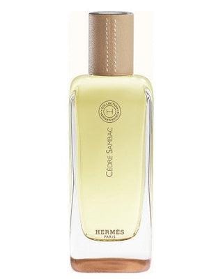 By Hermes Cedre Sambac
