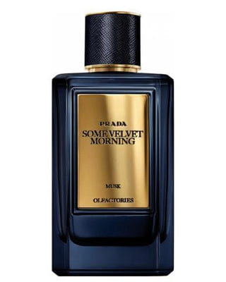 By Prada Some Velvet Morning