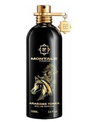 By Montale Arabians Tonka