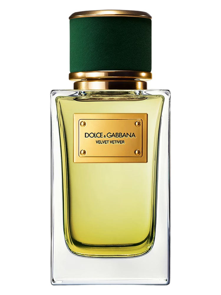 By Dolce & Gabbana Velvet Vetiver