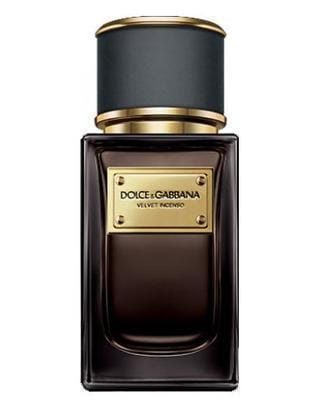 By Dolce & Gabbana Velvet Incenso