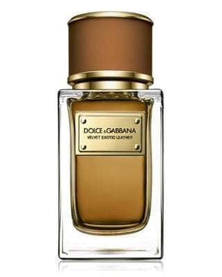 By Dolce & Gabbana Velvet Exotic Leather