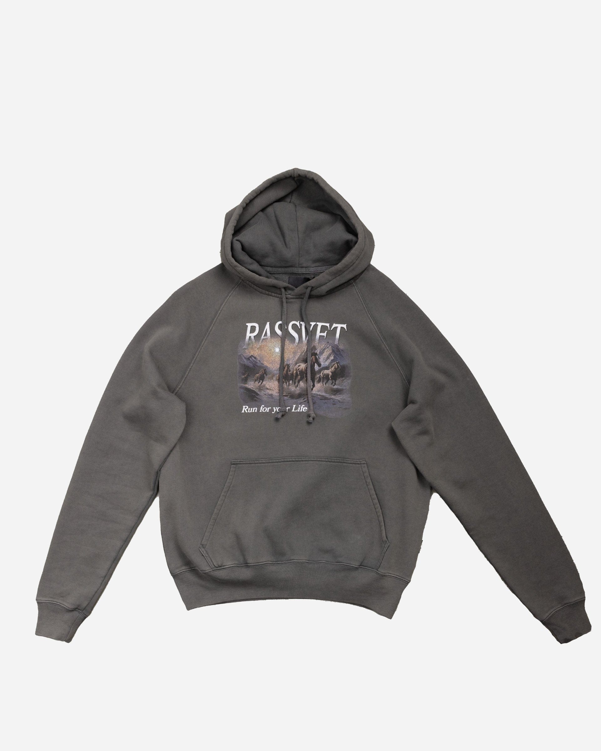 SASU DOVER Street Market PARIS (ERL) Horses Raglan Hoodie
