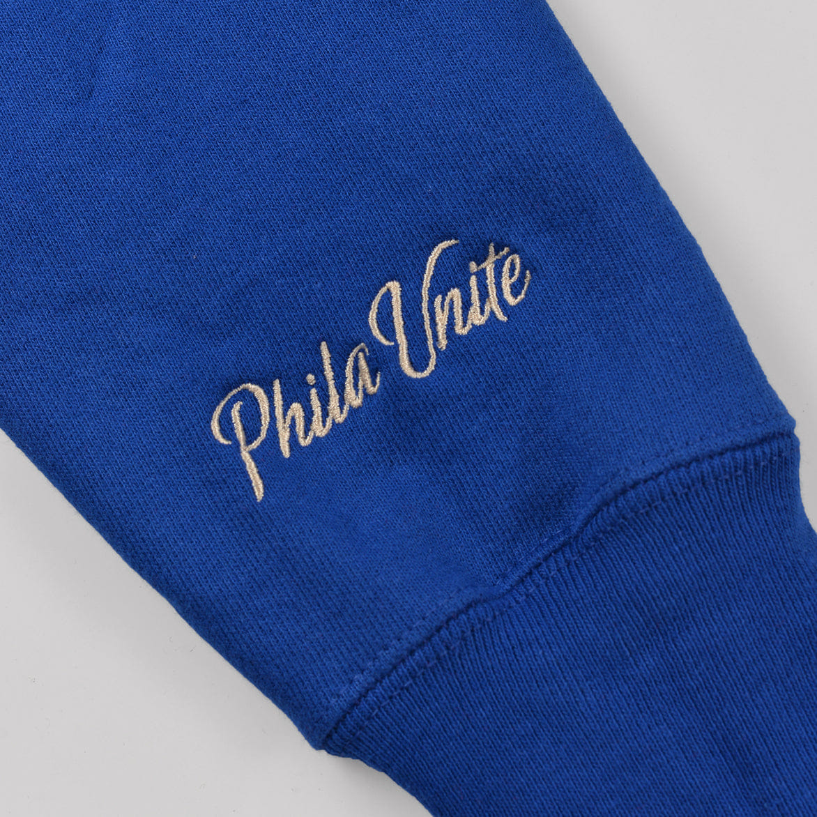 Lapstone & Hammer LAPSTONE UNITE PLAYOFF HOODIE - ROYAL