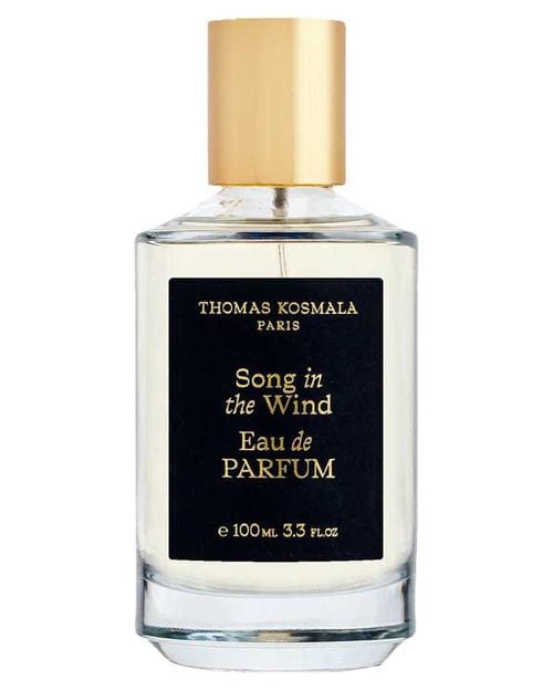 Thomas Kosmala Song In The Wind