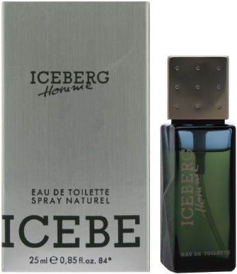 Iceberg Homme by Iceberg for Men