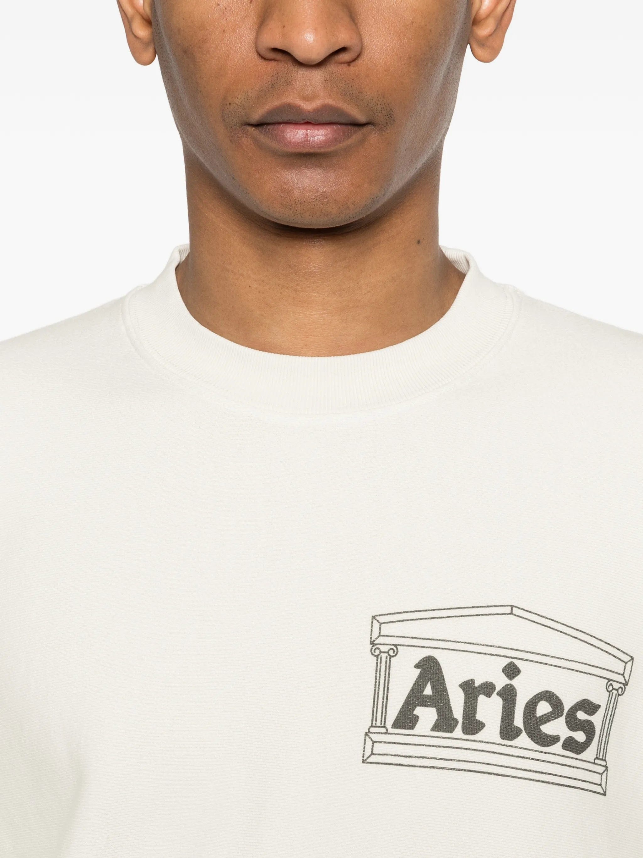 Aries temple sweatshirt