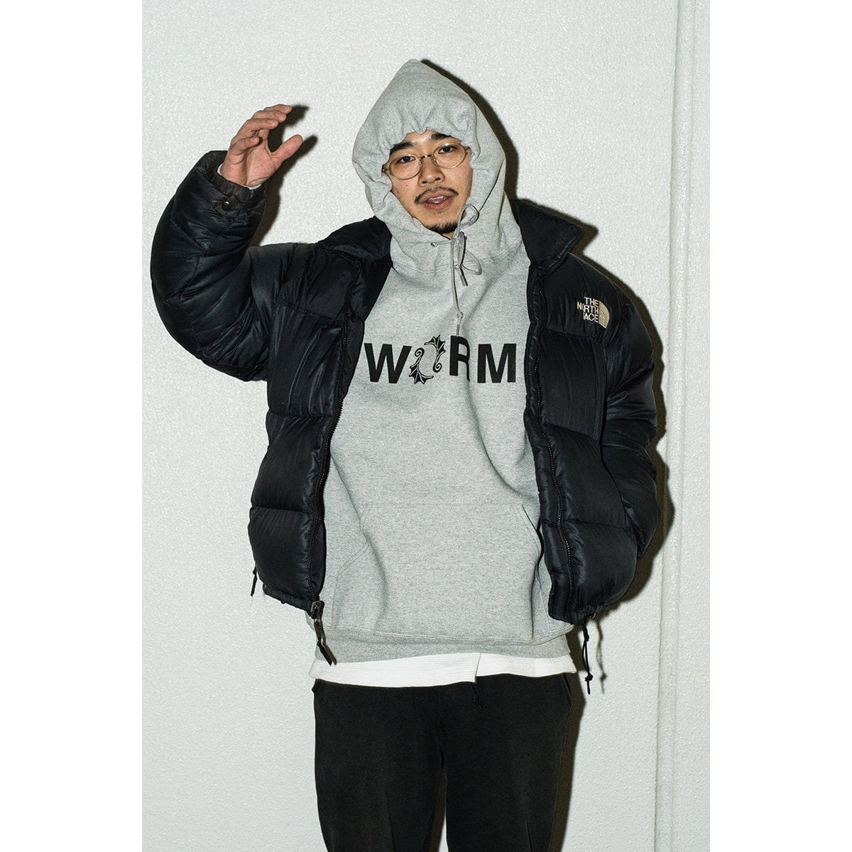 Logo WORM LOGO HOODIE 2025 (GREY) XL