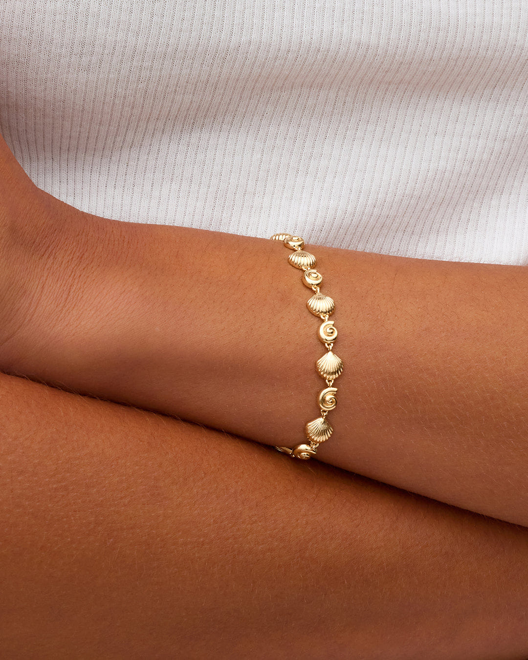 Summer 2026 Fashion Nautilus Bracelet