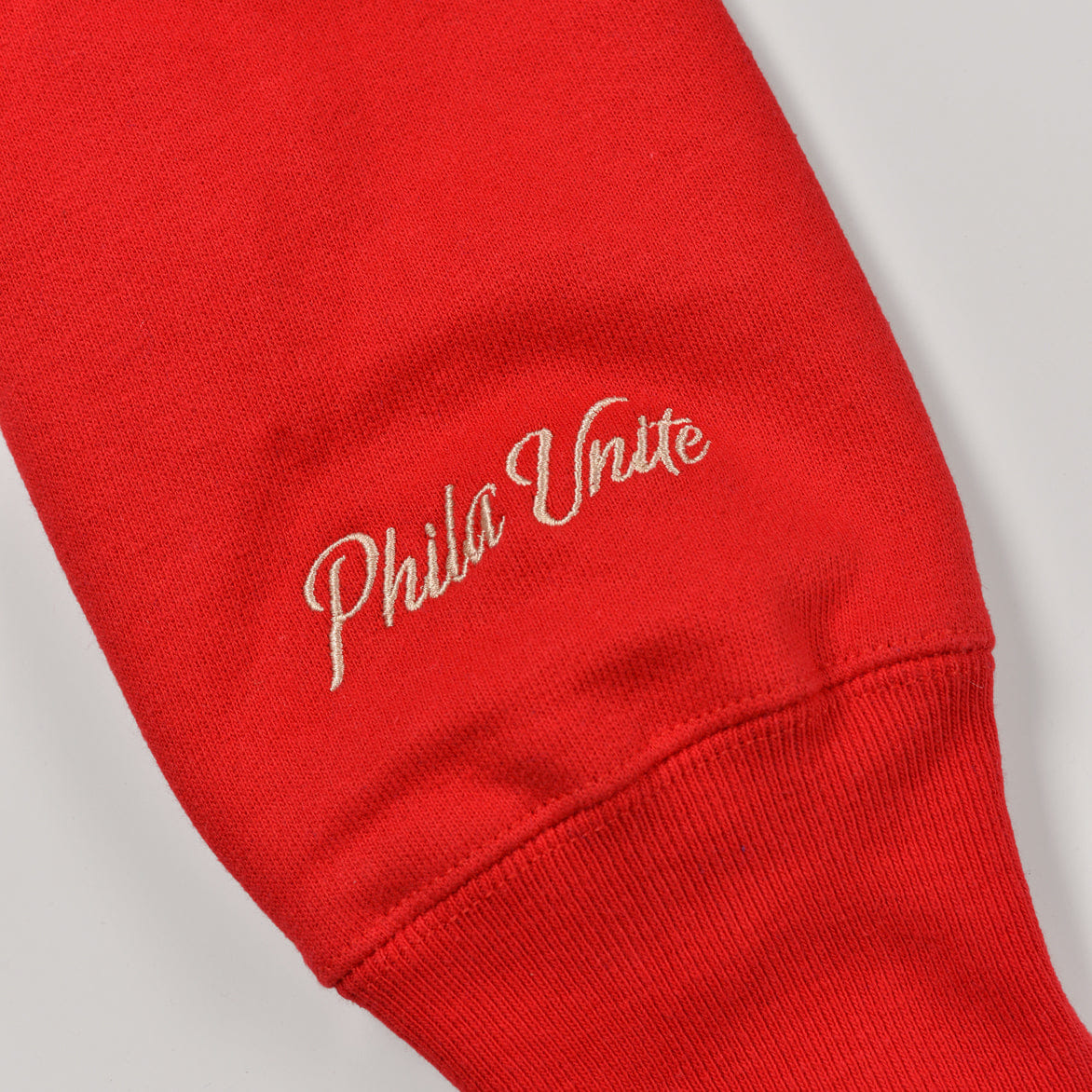 Lapstone & Hammer LAPSTONE UNITE PLAYOFF HOODIE - SCARLET