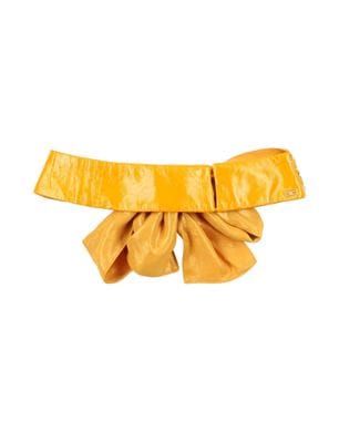 Elisabetta Franchi Scarves