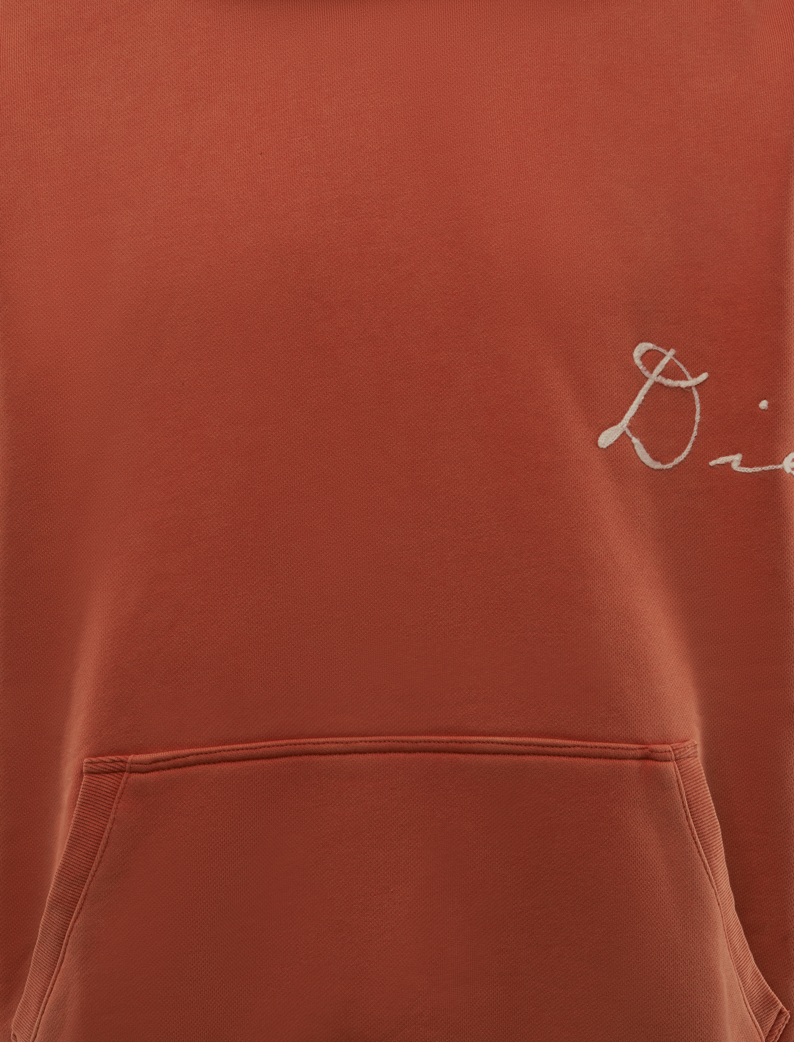 DIET Starts Monday CHAINSTITCH HOODIE