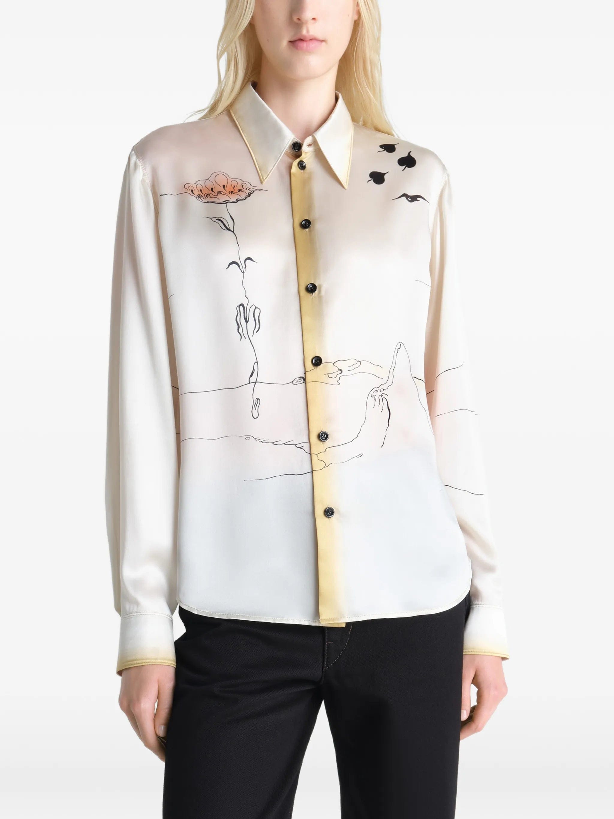Lemaire pointed - collar landscape shirt
