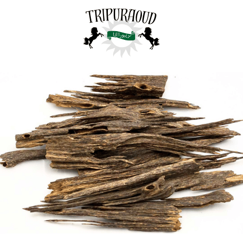 π¦πͺ Tripura Oud LLC - SHIPS IN 3 DAYS Super Kadamtala Agarwood | Oud Chips By TripurAgar - Incense | Oud | Bakhoor | Natural | HandCrafted | | Exotic Hindi Oud