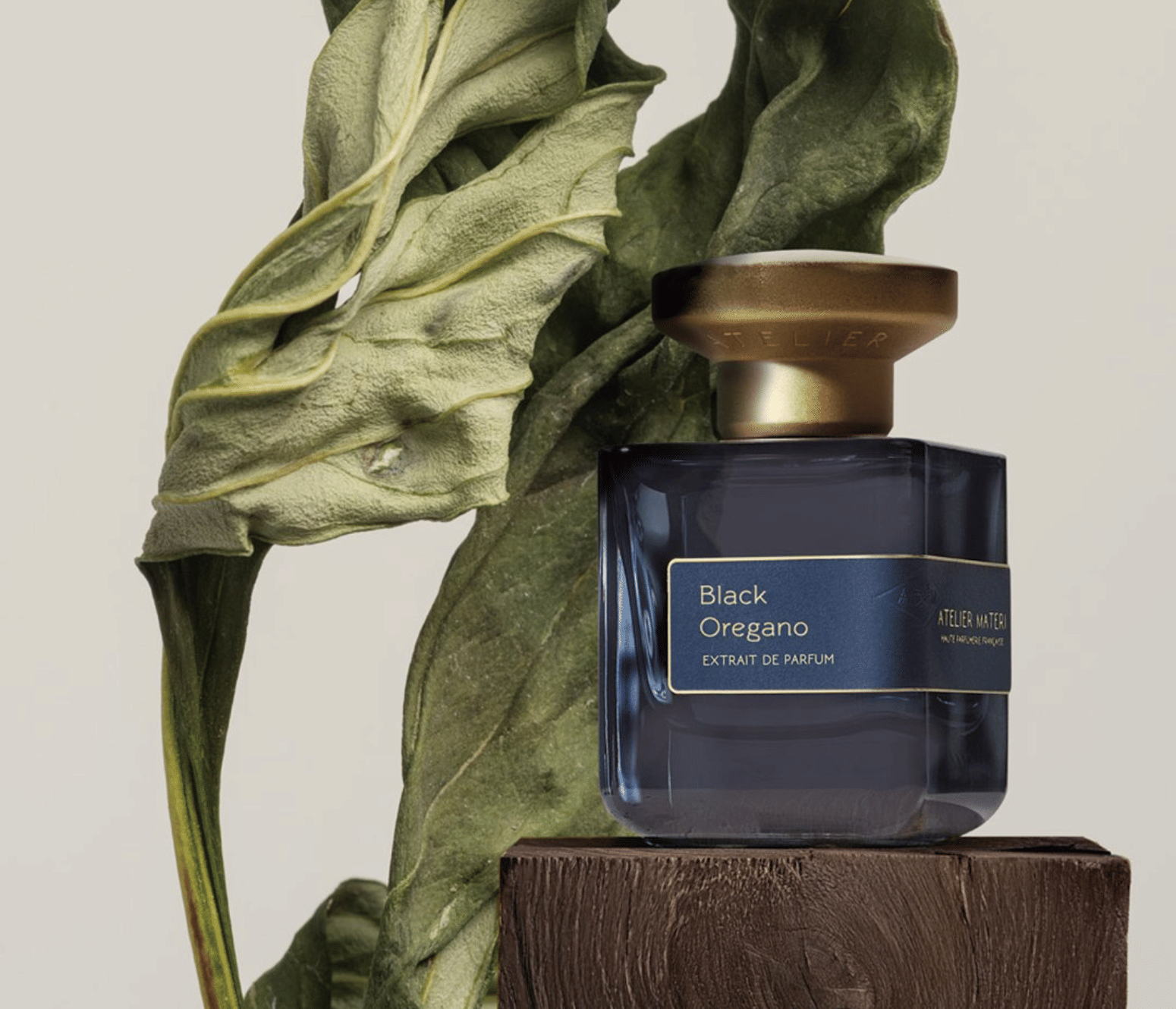 Atelier Materi Black Oregano