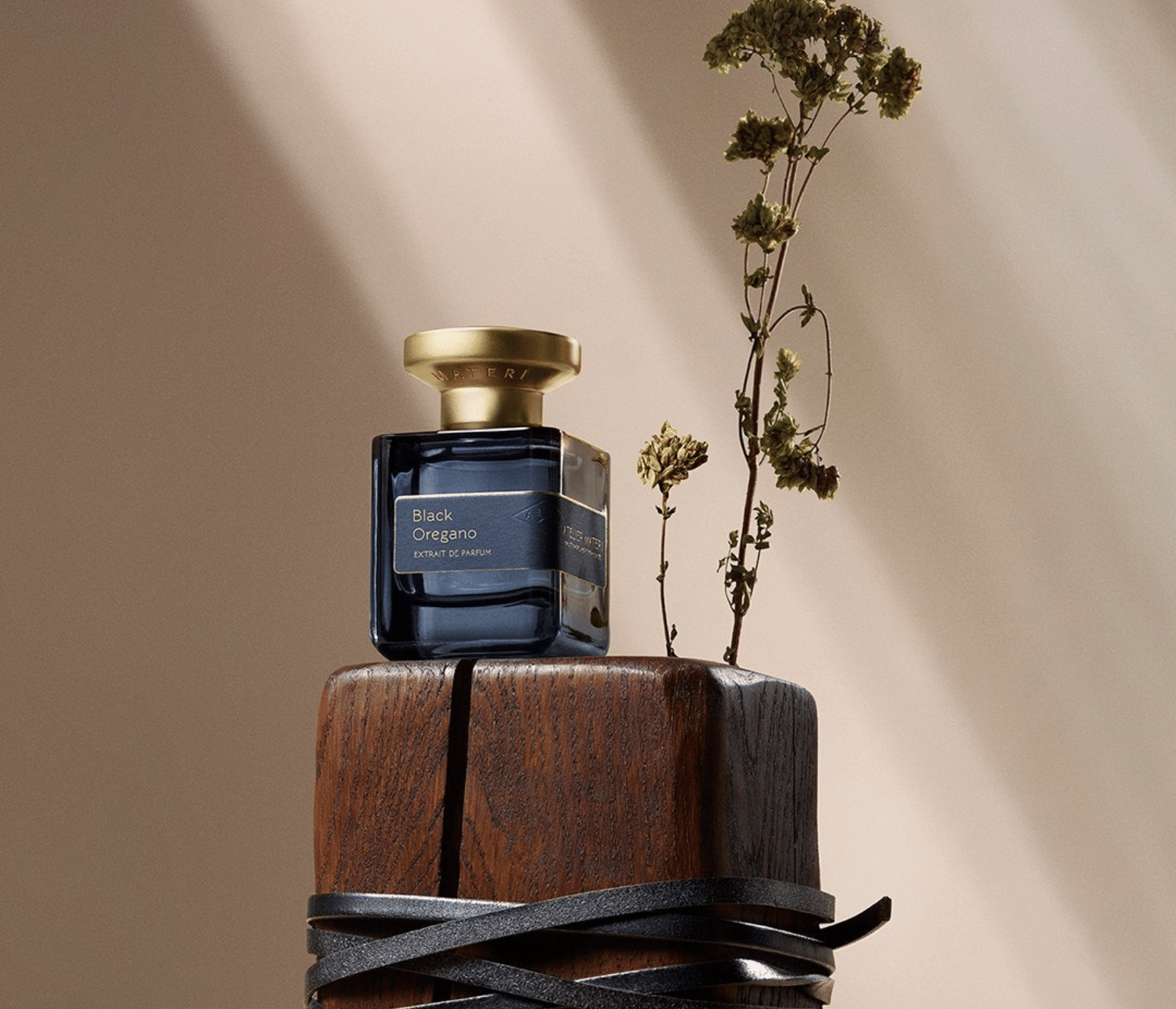 Atelier Materi Black Oregano