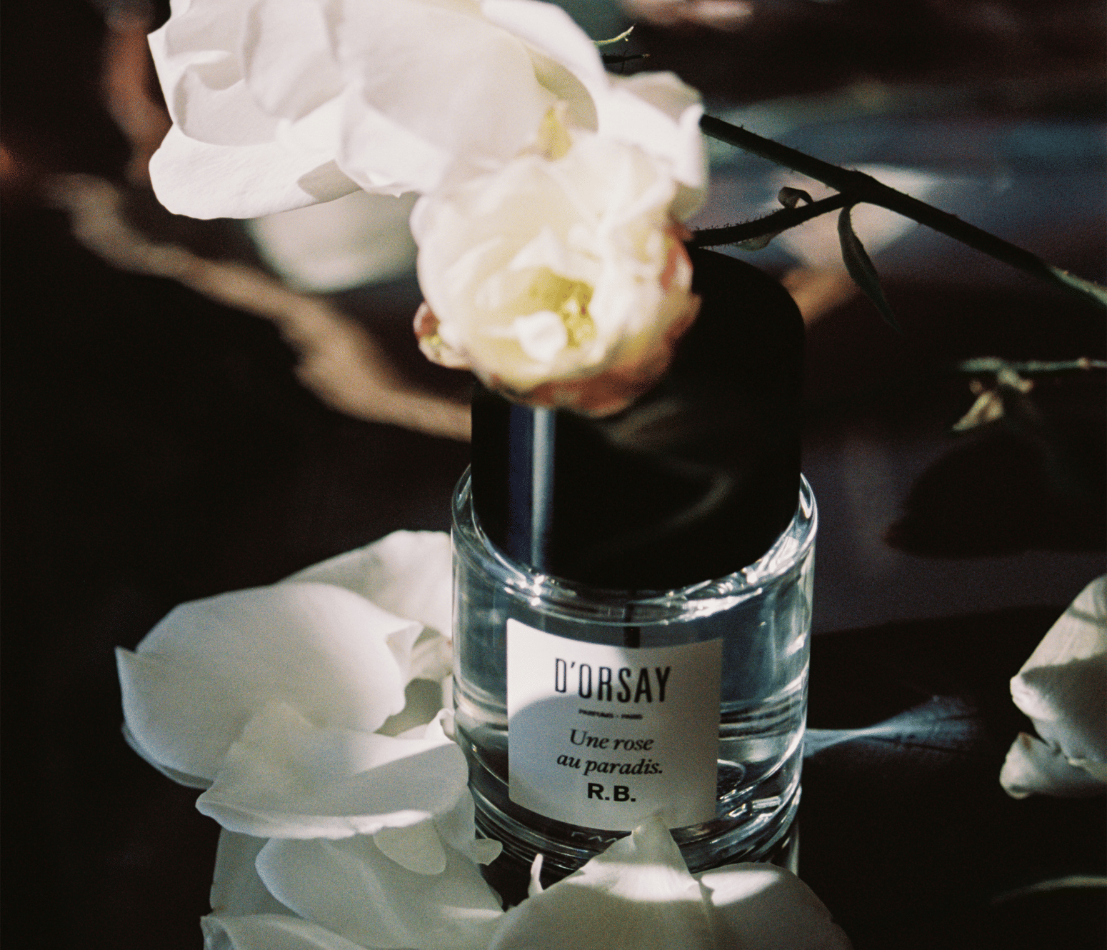 Maison D'orsay Paris R.B. - Une rose au paradis