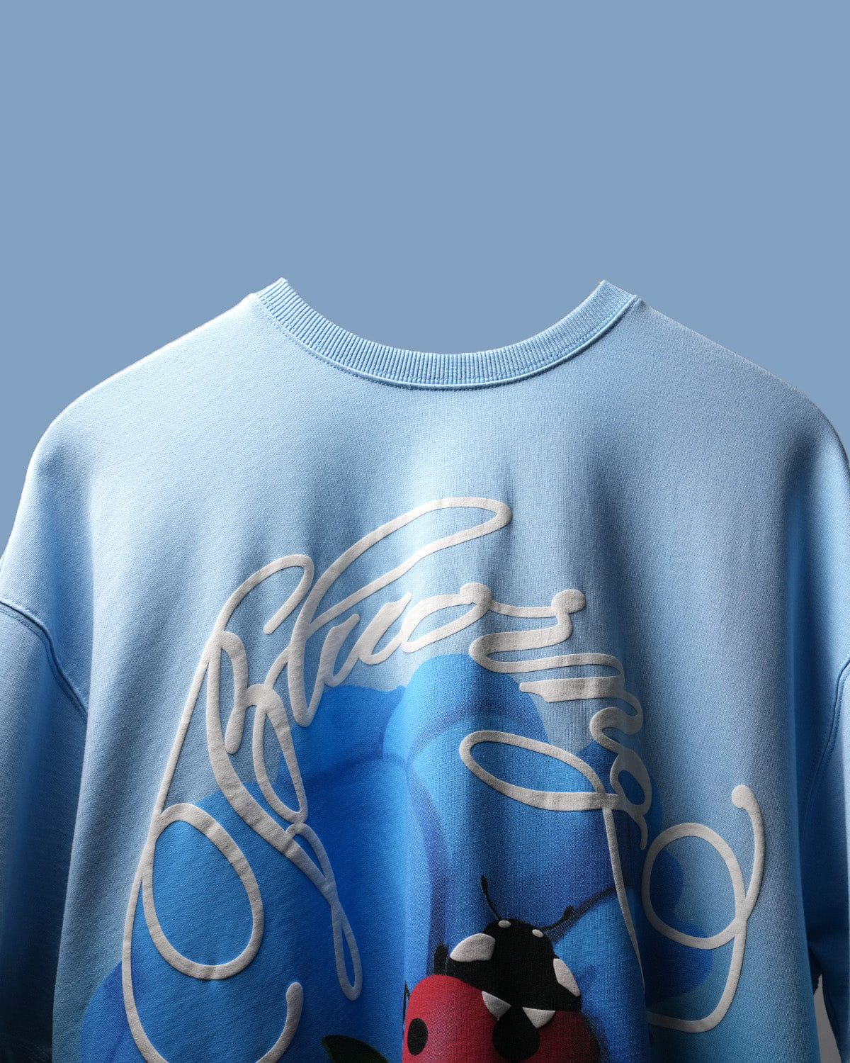 Blue Glacial Blue Ladybird T - Shirt