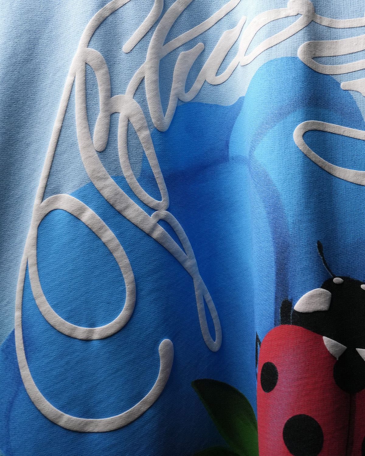 Blue Glacial Blue Ladybird T - Shirt