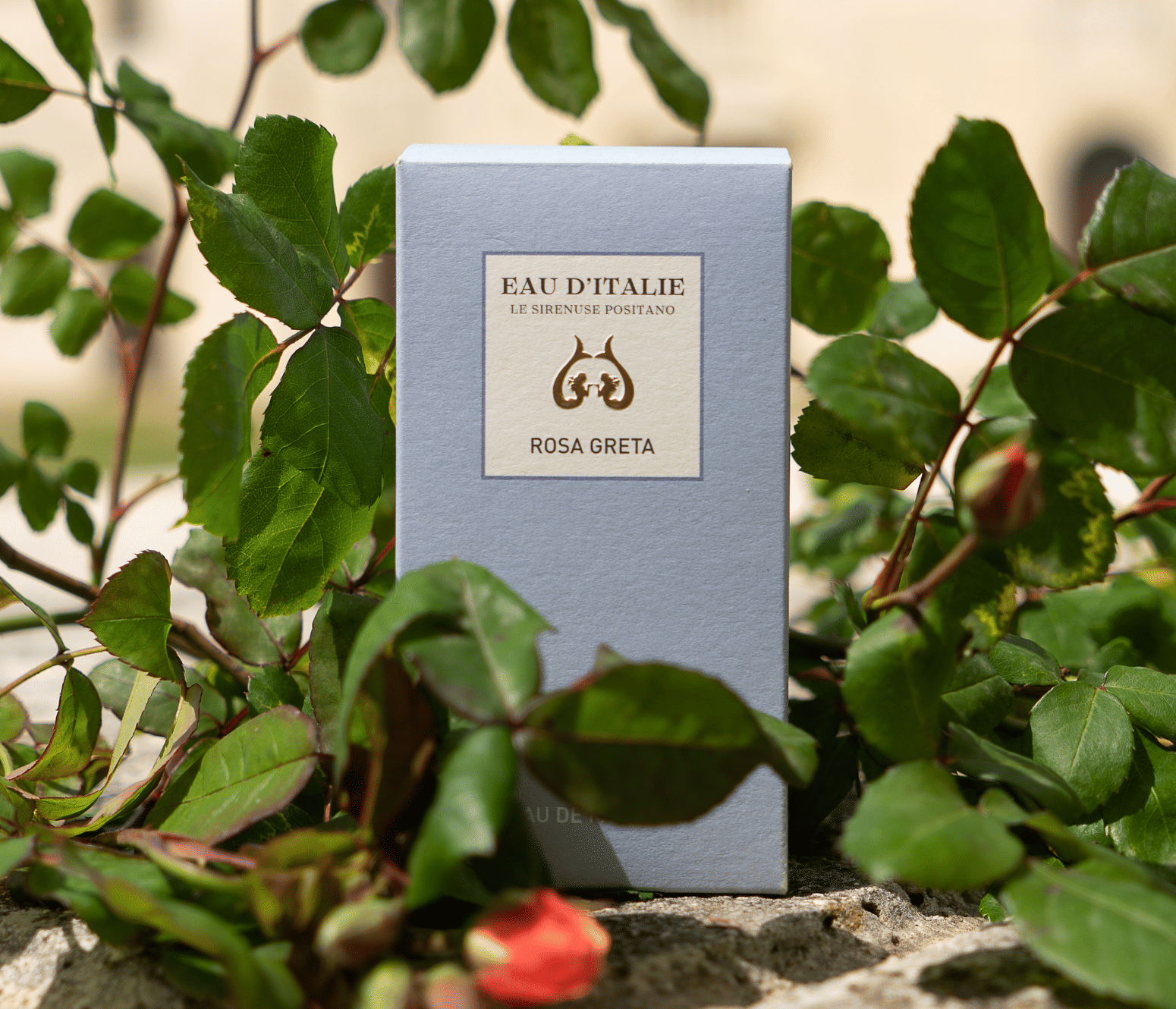 Eau D'italie Rosa Greta