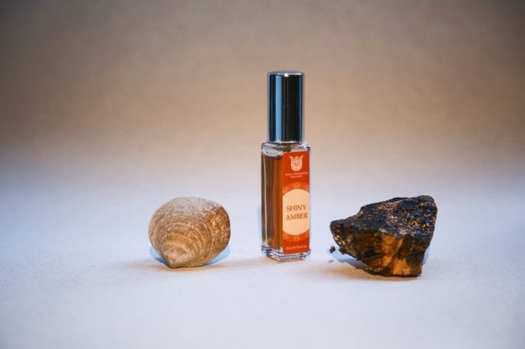 Anna Zworykina Shiny Amber