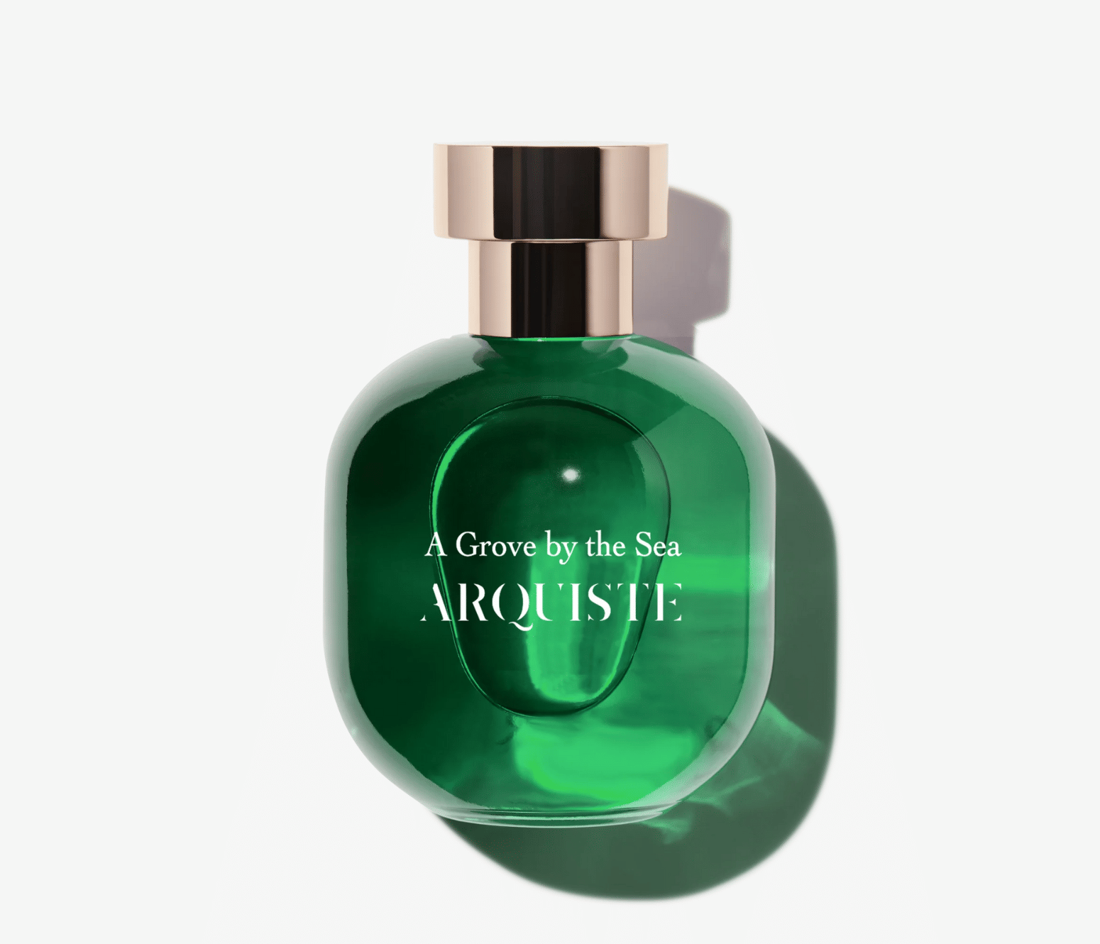 Arquiste A Grove by the Sea
