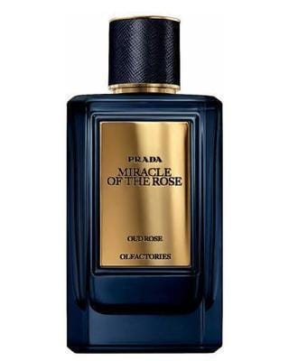 By Prada Miracle of the Rose