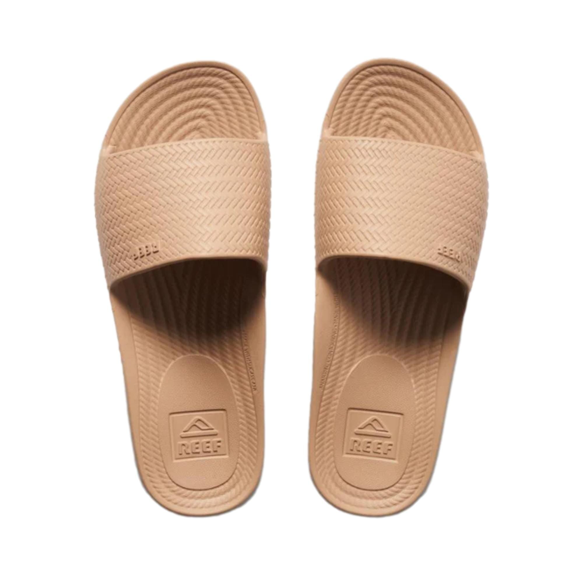 SCOUT Reef Water Scout Oasis CJ3500 Women's