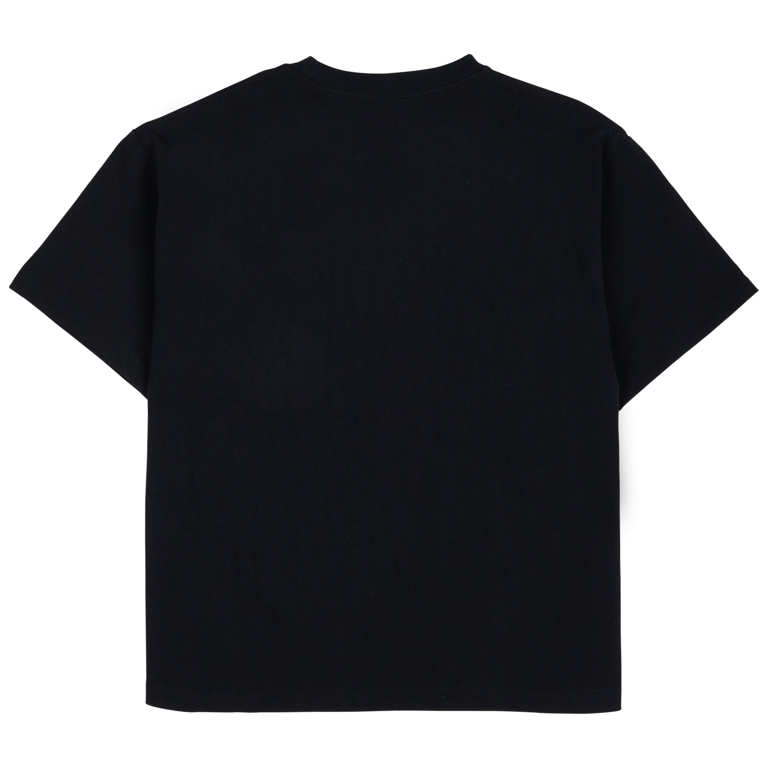 Pleasures Shoplift Heavyweight T-Shirt (Black)