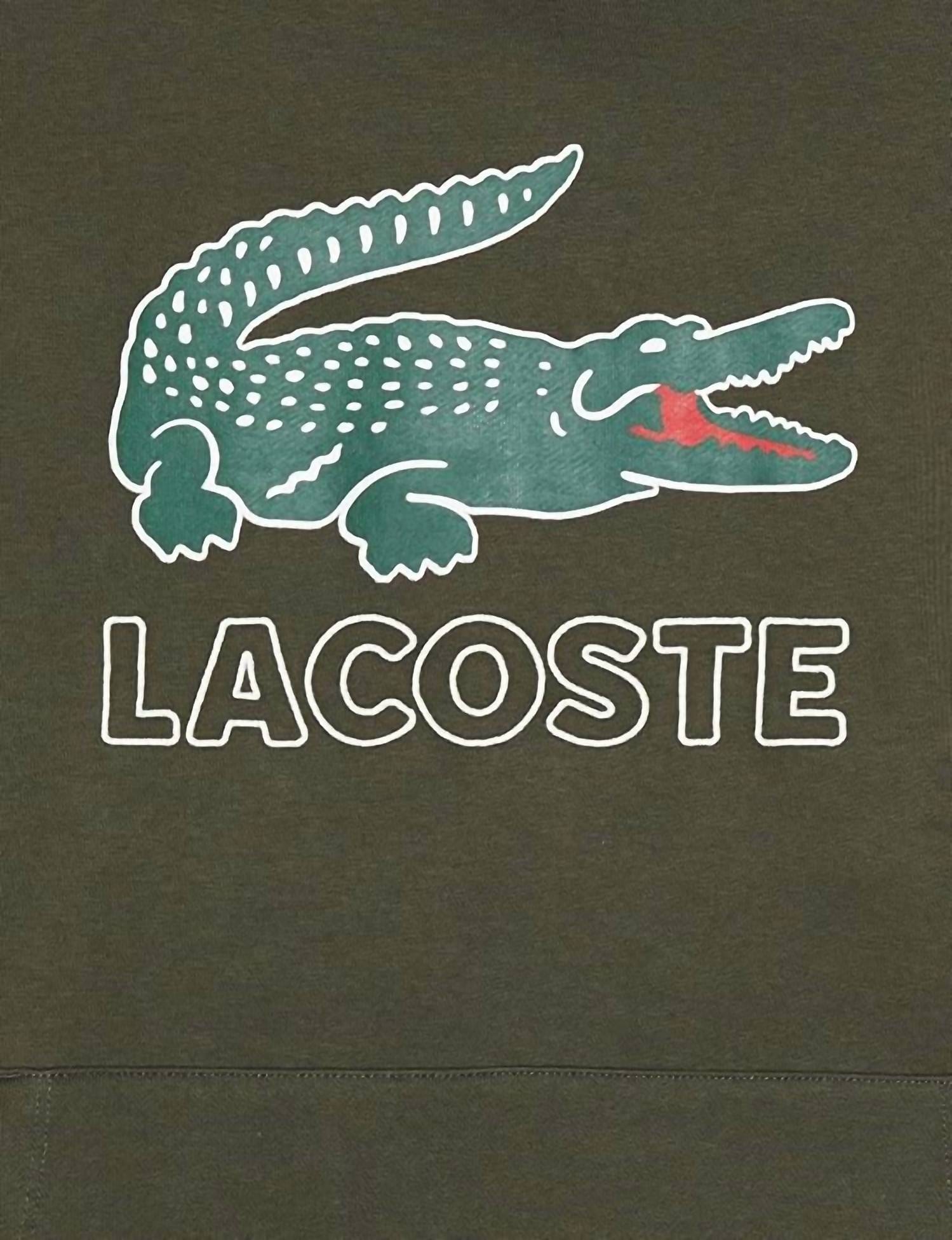 Logo Men's Graphic Logo Fleece Hoodie In Green