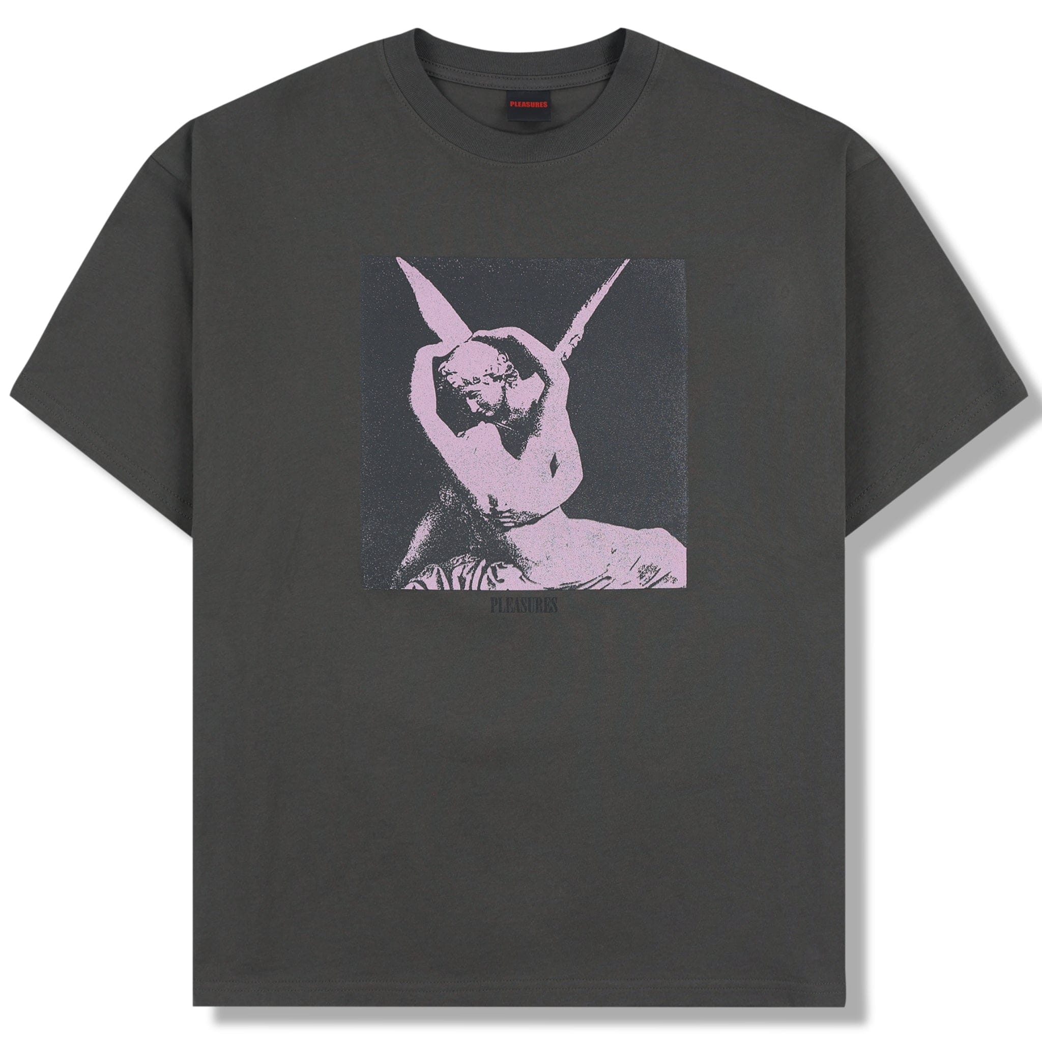 Pleasures ANGEL T-Shirt