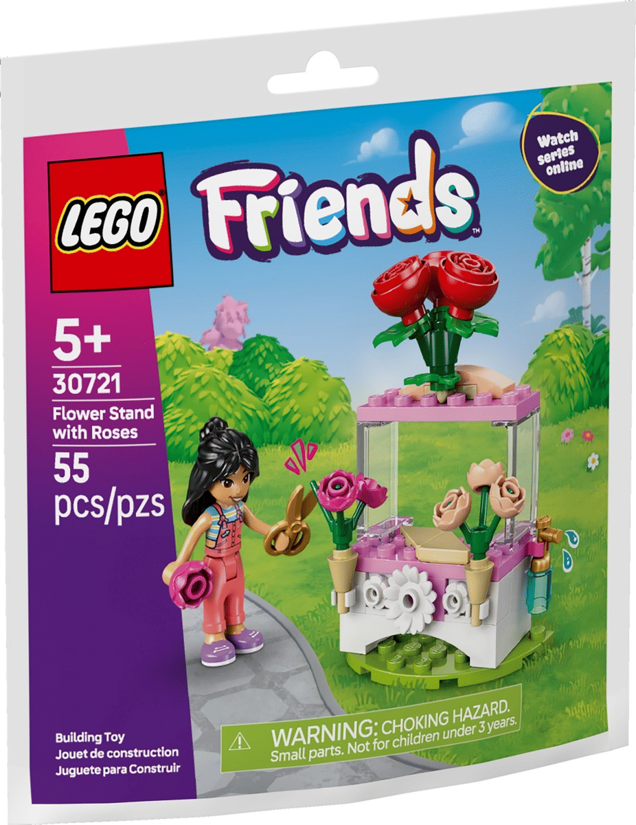 Friends Flower Stand with Roses paper bag 30721 - 1