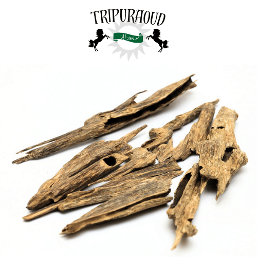 π¦πͺ Tripura Oud LLC - SHIPS IN 3 DAYS Tripura Rahasya - I (Oud Oil + Agarwood) by TripurAgar - Artisnal | Oud Oil | Agarwood | Combo | | Exotic Hindi Oud