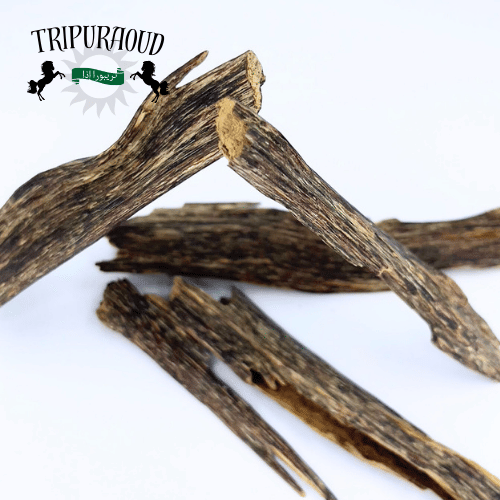 π¦πͺ Tripura Oud LLC - SHIPS IN 3 DAYS Ancient Tripura Oud Agarwood Chips By TripurAgar - | Rare | Natural | HandCrafted | CITES CERTIFIED | Exotic Hindi Oud
