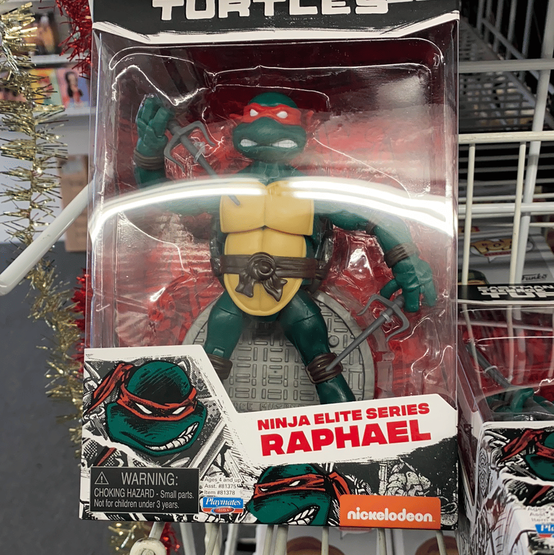 Hasbro Toys Playmates TMNT Teenage Mutant Ninja Turtles Rapahel PX Action Figure