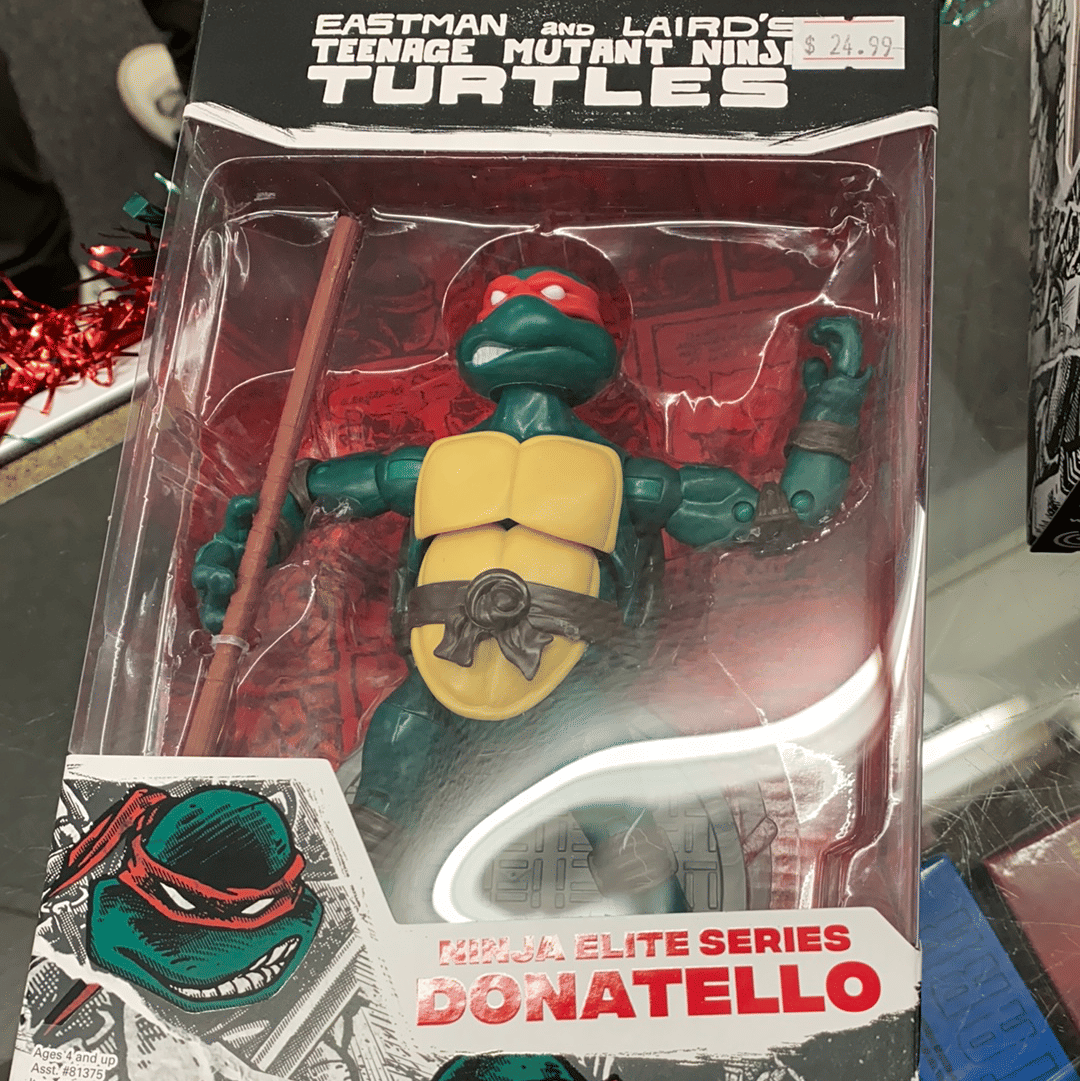 Hasbro Toys Playmates TMNT Teenage Mutant Ninja Turtles Donatello PX Action Figure