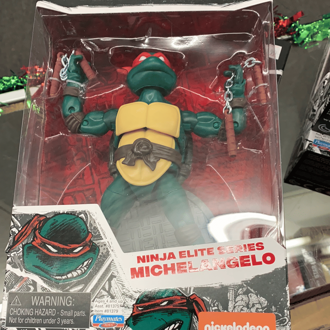 Hasbro Toys Playmates TMNT Teenage Mutant Ninja Turtles Michelangelo PX Action Figure