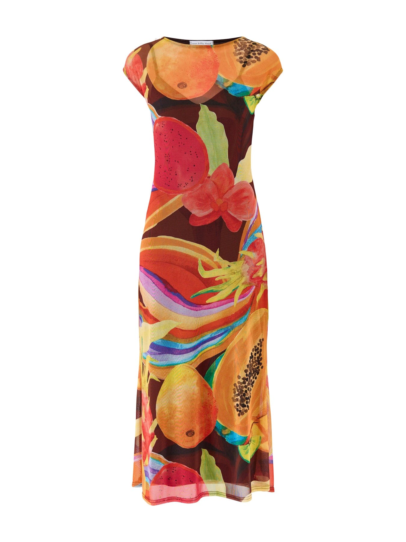 Never Fully Dressed Rio Mesh Dress Multi