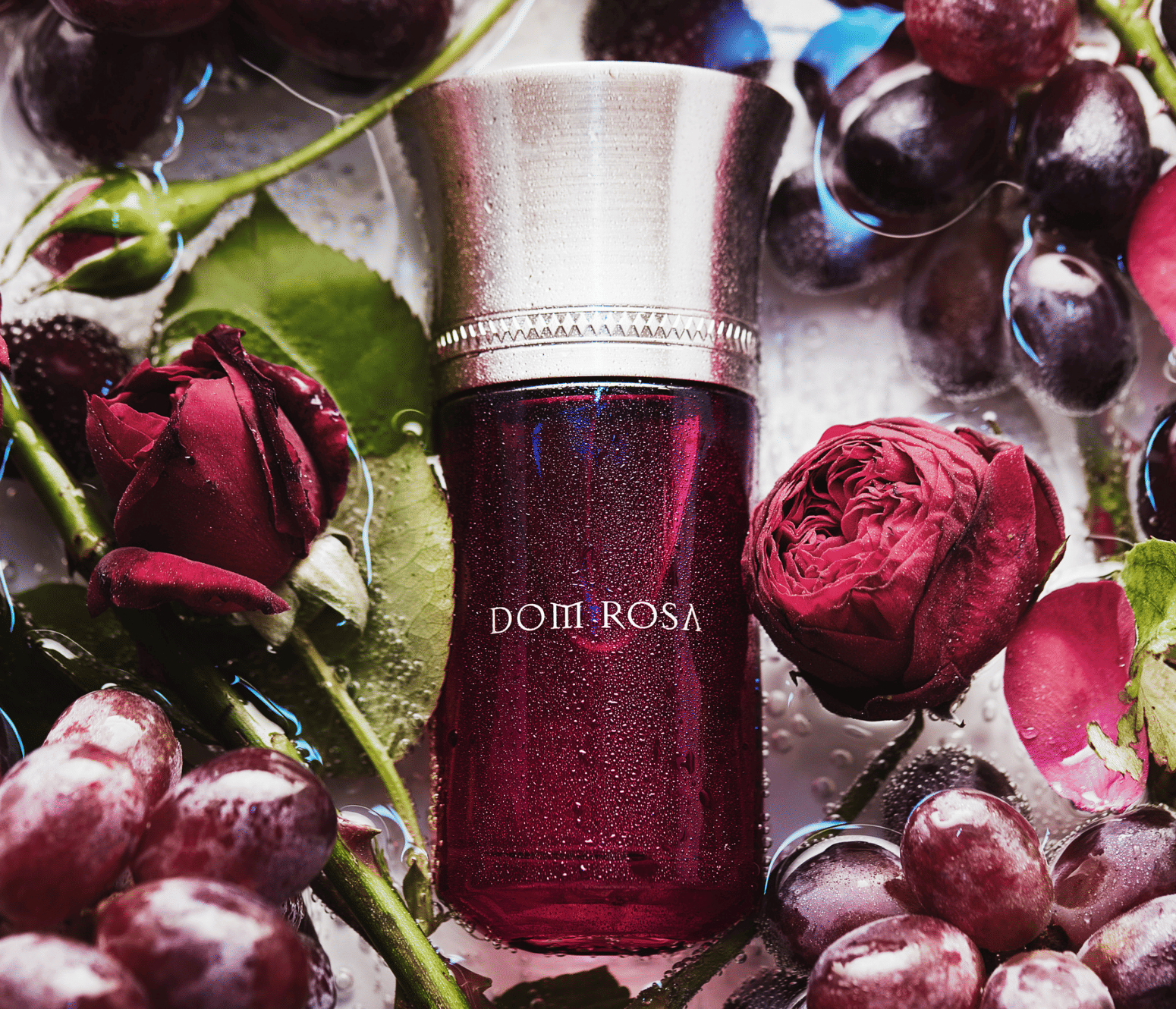 Liquides Imaginaires Dom Rosa