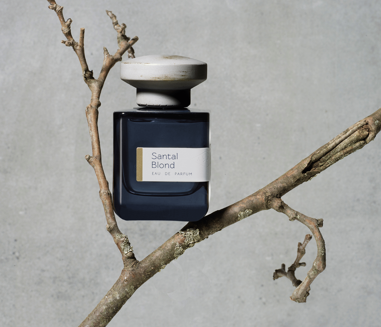 Atelier Materi Santal Blond
