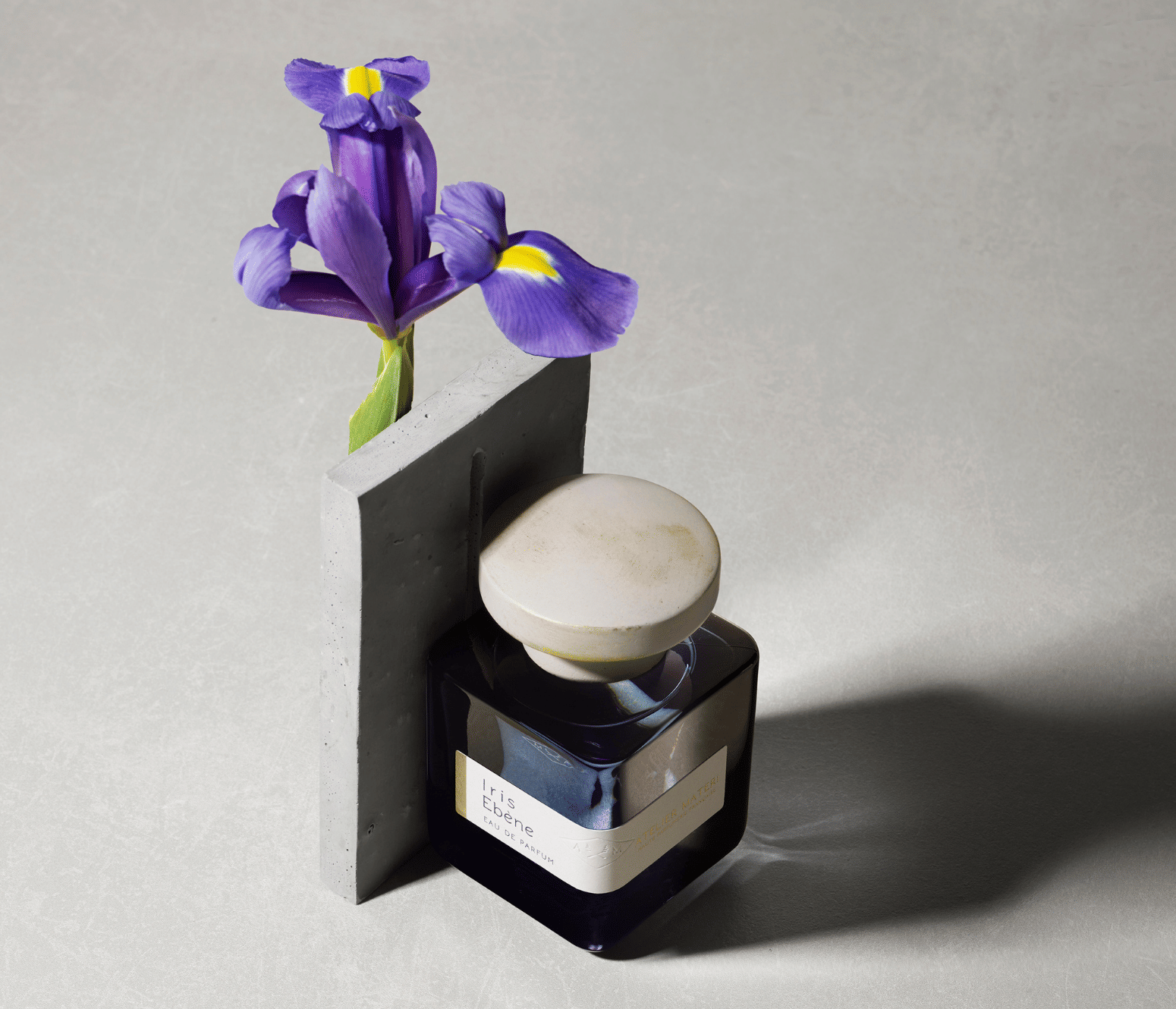 Atelier Materi Iris Ebène