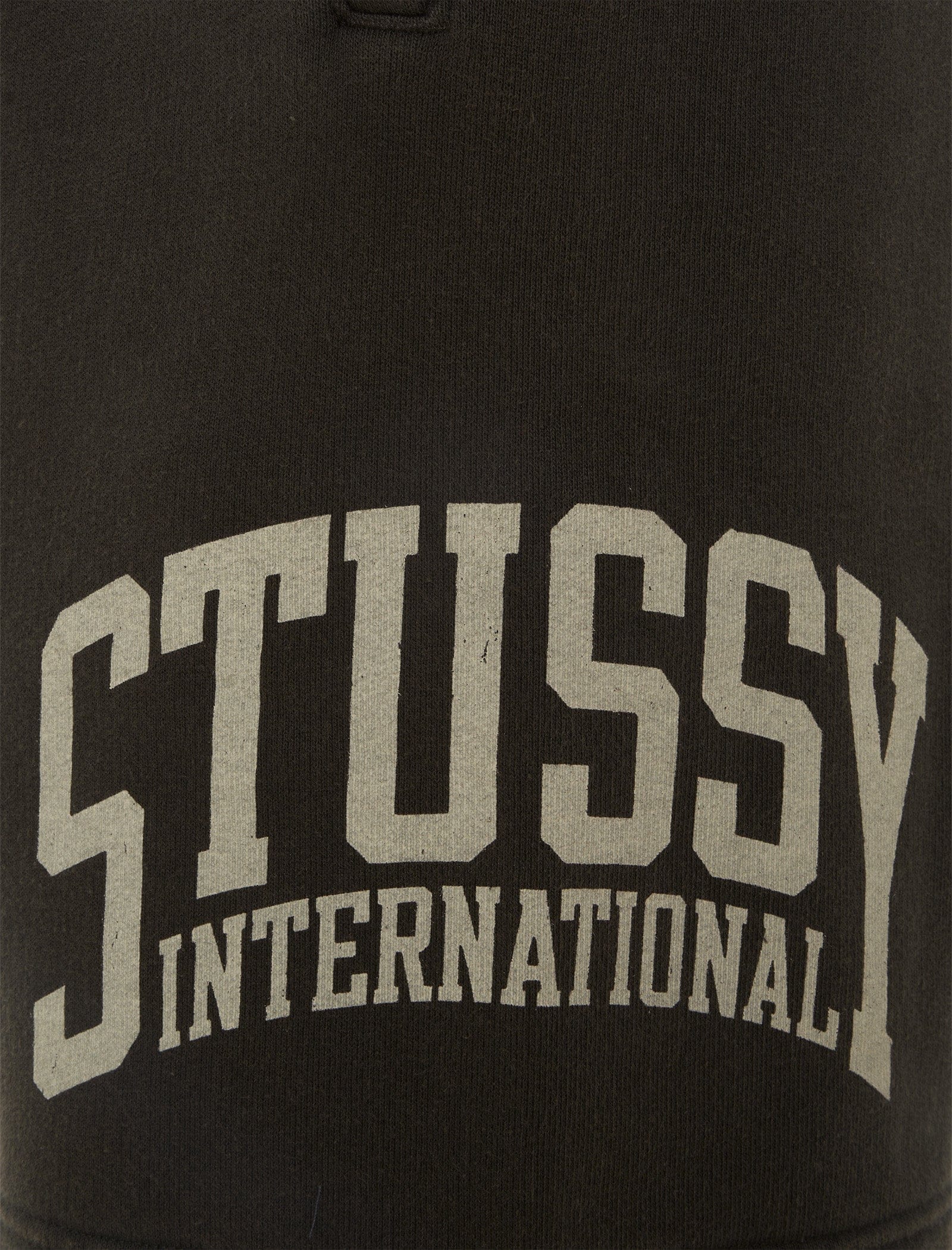 STÜSSY INTERNATIONAL SHORT