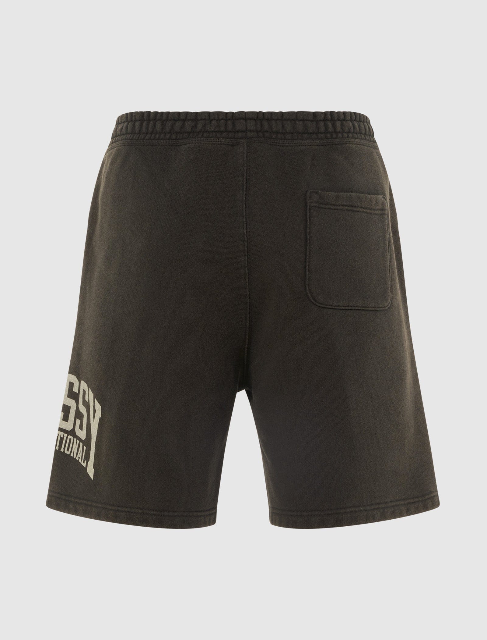 STÜSSY INTERNATIONAL SHORT