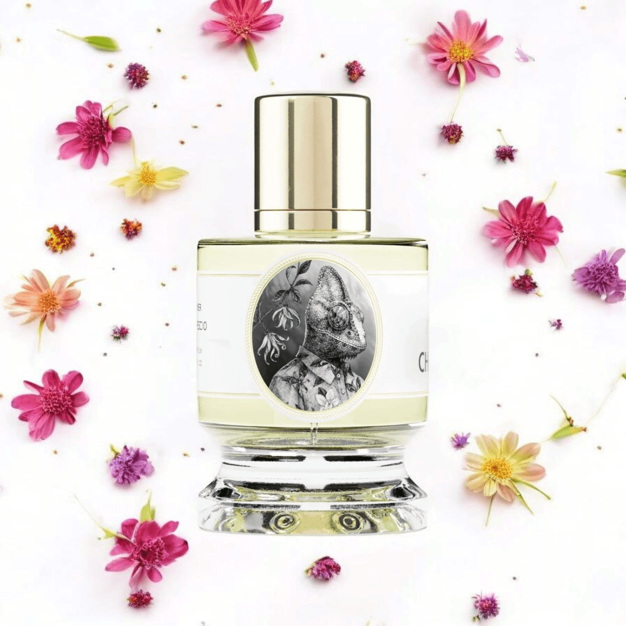 Zoologist Chameleon | Fragrance Samples UK
