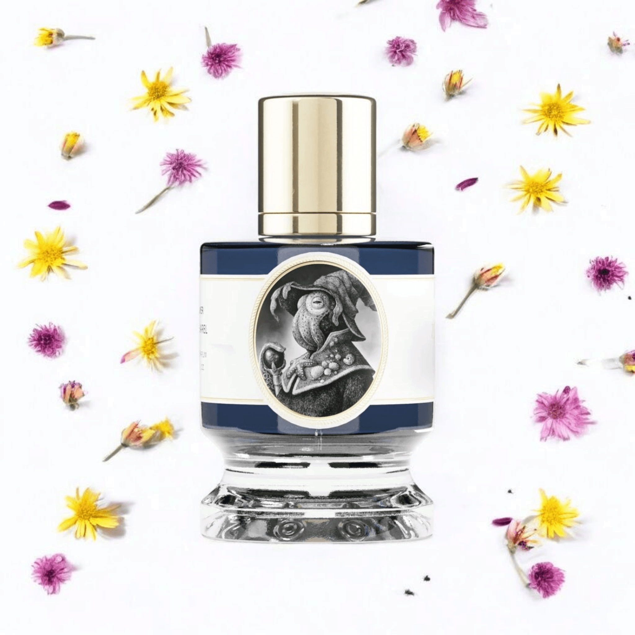 Zoologist Squid | Fragrance Samples UK